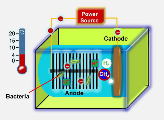 微生物电解池技术原理及模型