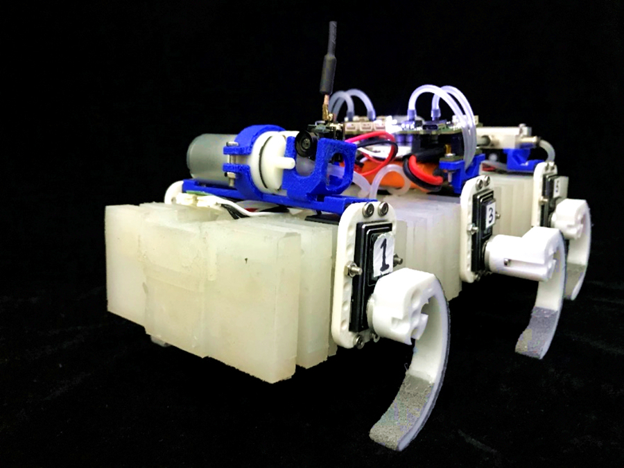 大机器人怎么制作 d325c0eb-dff7-4caa-8777-787c40aef3d3.jpg