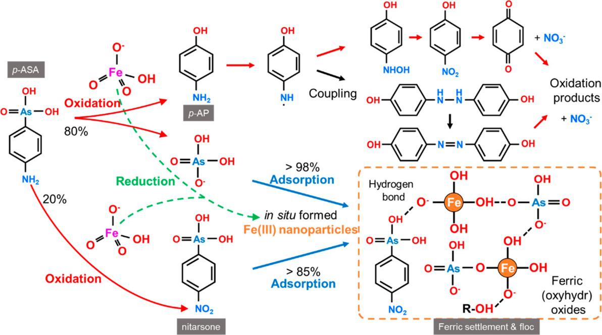马军教授团队发现利用高铁酸盐去除水中有机污染物新方法